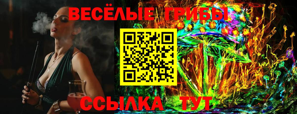 Псилоцибиновые грибы прущие грибы Балтийск