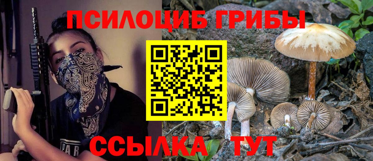 Галлюциногенные грибы Psilocybine cubensis  Вход с VPN  Балтийск 